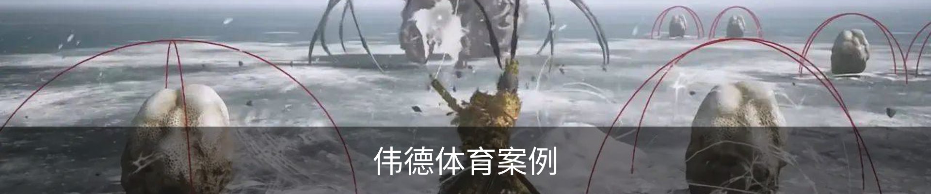 伟德体育案例